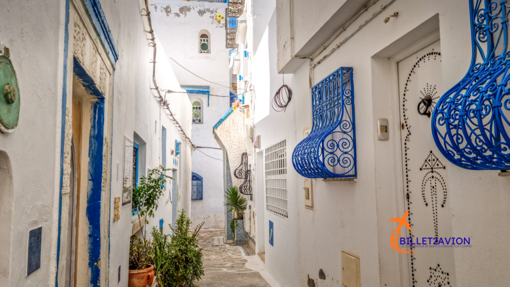 Comparer les vols France Tunisie avec Billet2Avion.com pour trouver les meilleurs billets d'avion vers Tunis, Djerba et Monastir.